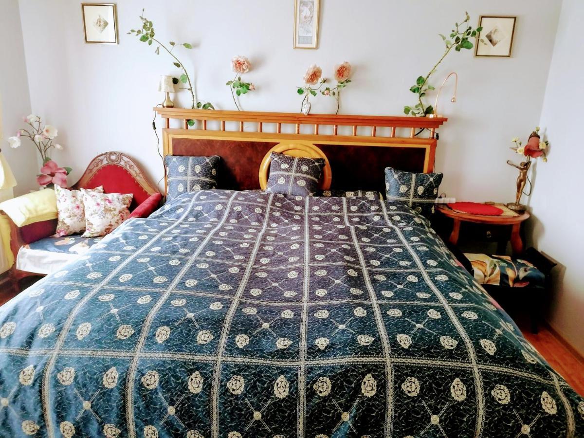 Mosonmagyaróvár Villa Victoria מראה חיצוני תמונה