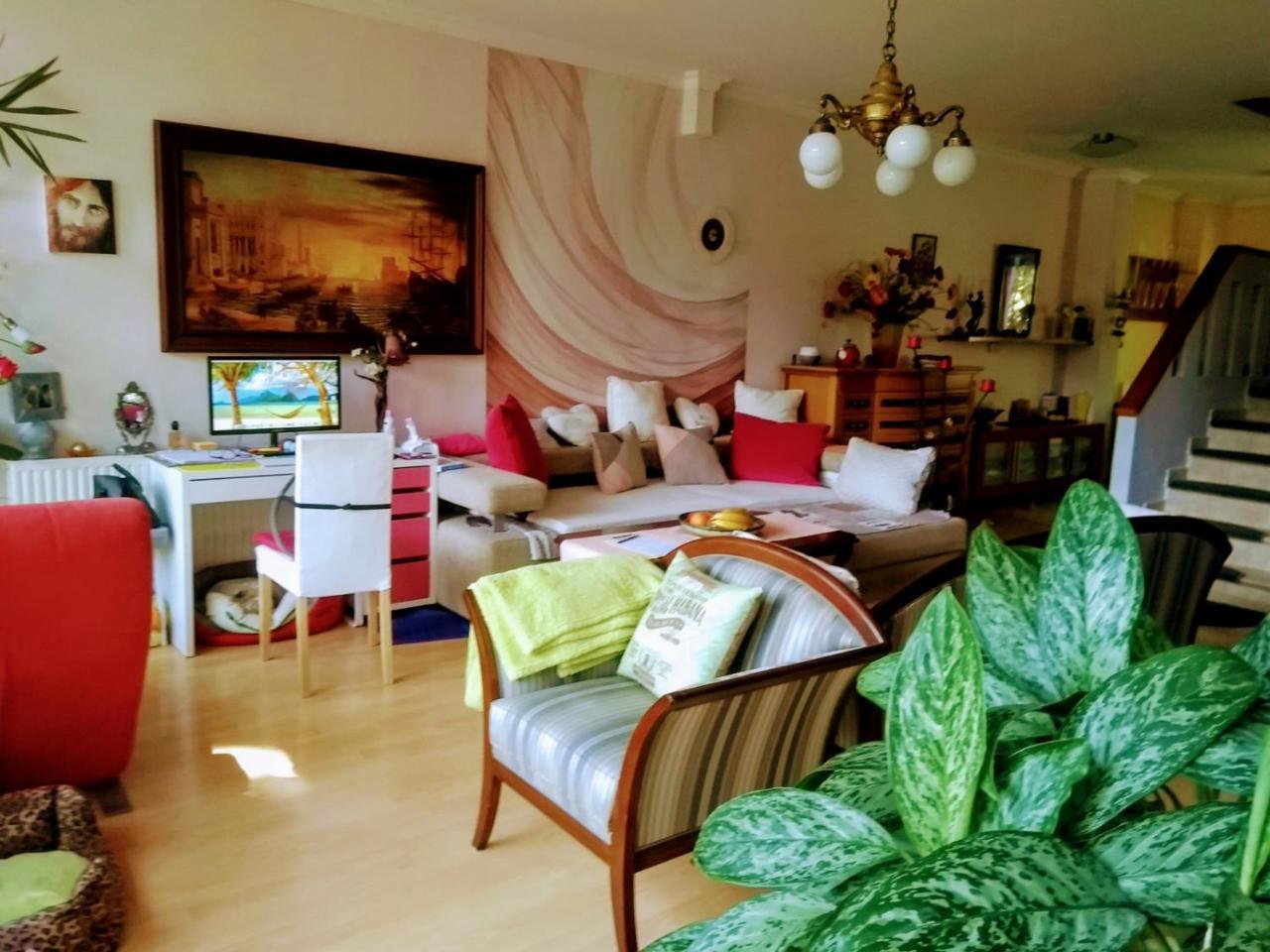 Mosonmagyaróvár Villa Victoria מראה חיצוני תמונה